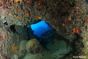 Segundo Premio – David Mocholí