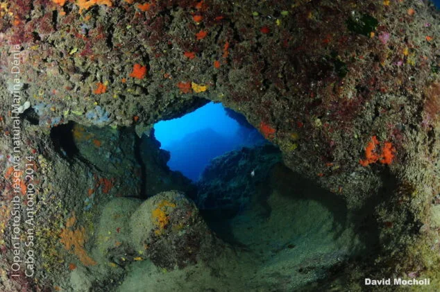 Segundo Premio David Mocholí