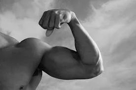 Suplementos nutricionales para lograr músculo