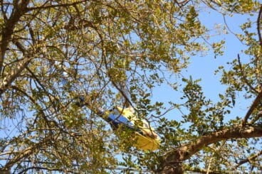 Un helicóptero en el incendio del Montgó