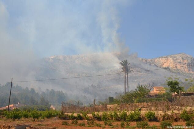 Cuatro nuevos operativos aéreos se suman para extinguir el fuego del Montgó 8 Varios focos en el incendio del Parque Natural del Montgó
