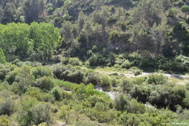 Vía Verde del Serpis 01