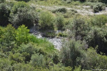 Vía Verde del Serpis