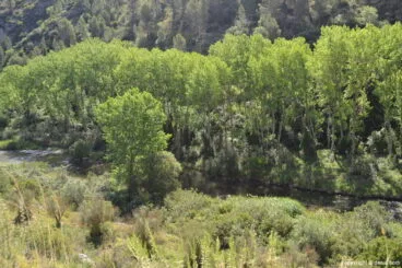 Vía Verde del Serpis