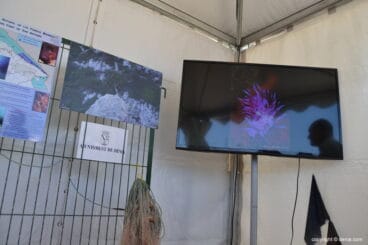 Información sobre la Reserva Natural de San Antonio