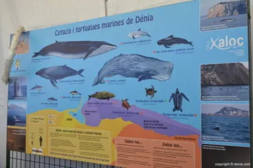 Información sobre la Reserva Natural de San Antonio