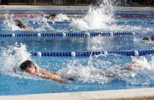 Campeonato de natación