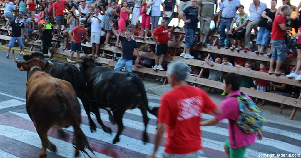 Programa de Fiestas Patronales de Dénia - Santissima Sang 2015 3 Entrada de toros