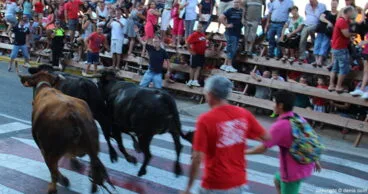 Entrada de toros1