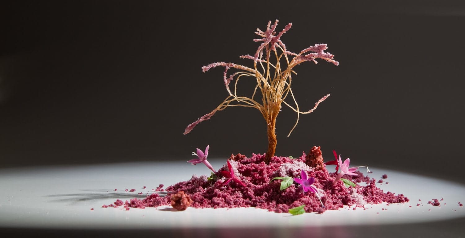 Plato de Quique Dacosta, cerezo en flor