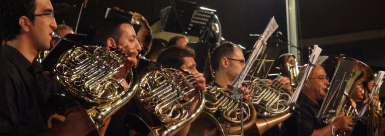 Agrupación Artística Musical Dénia