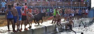 Bous a la mar Dénia
