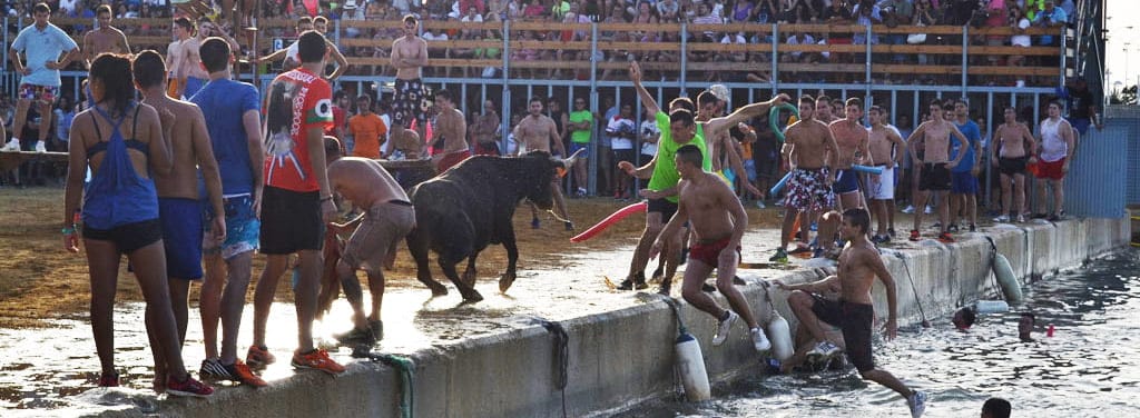 Bous a la mar Dénia