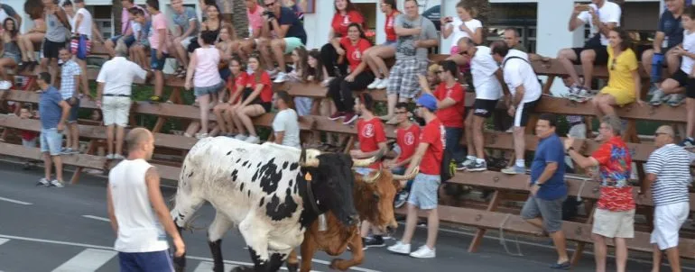 Entrada de toros 2018