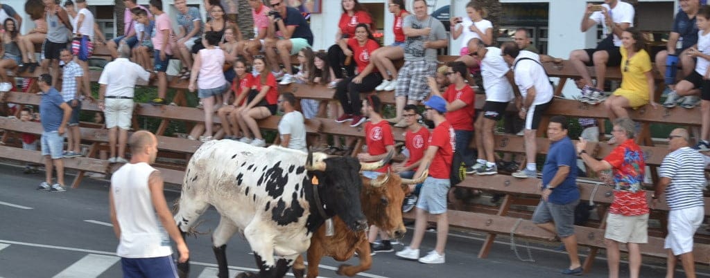 entrada de toros 2018