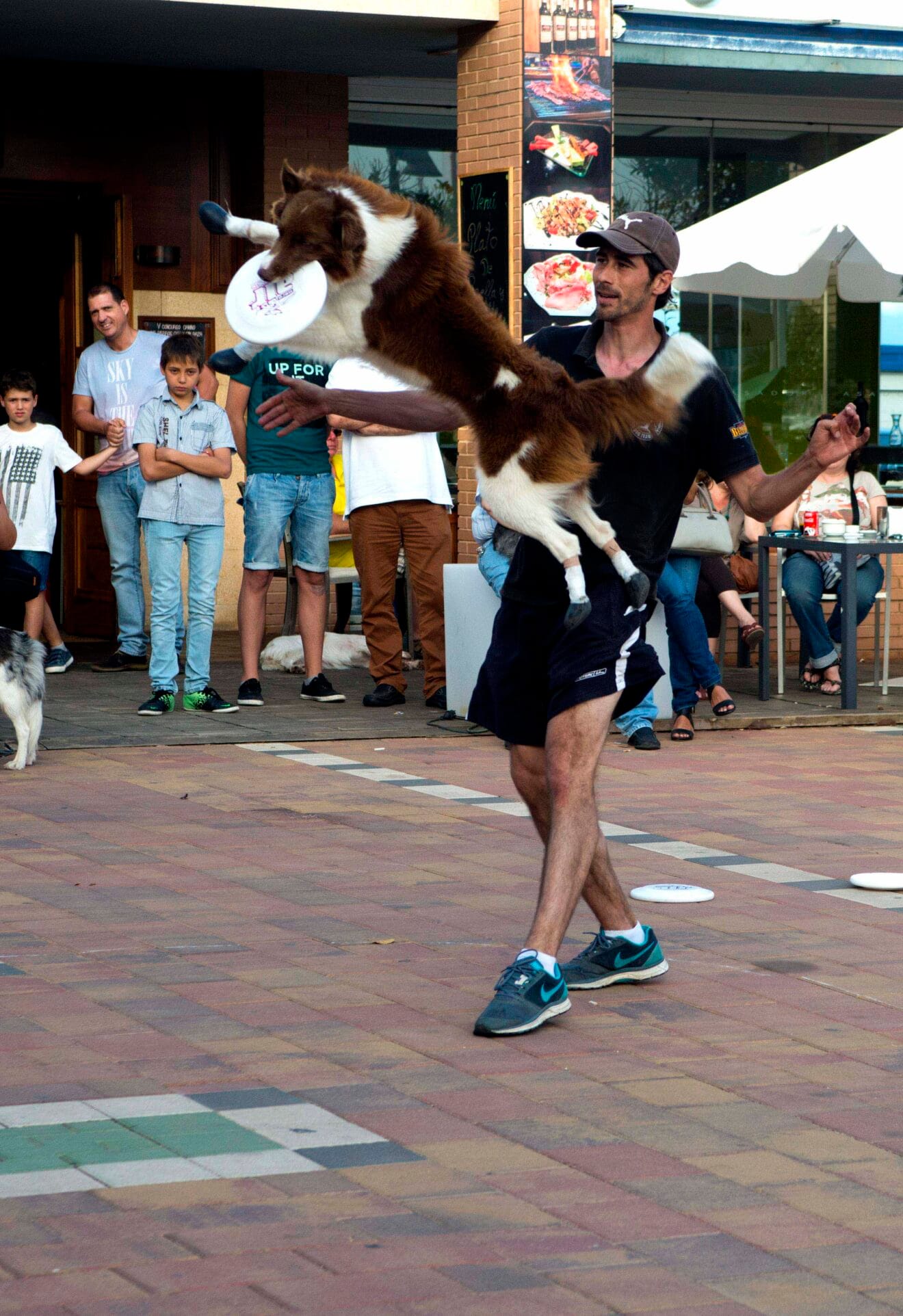 Exhibicion discdog