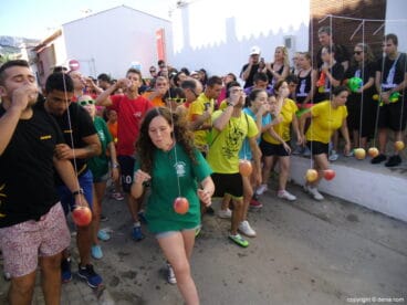 Cucañas del Día del Fallero – Cucaña de la Falla Les Roques