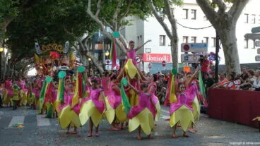 Baile Carroza Falla Baix la Mar