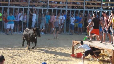 Fiestas de Dénia 2014 18