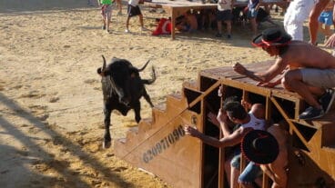 Primer “Bous a la mar” Fiestas de Dénia 2014