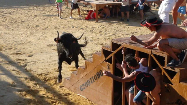 Fiestas de Dénia 2014 19