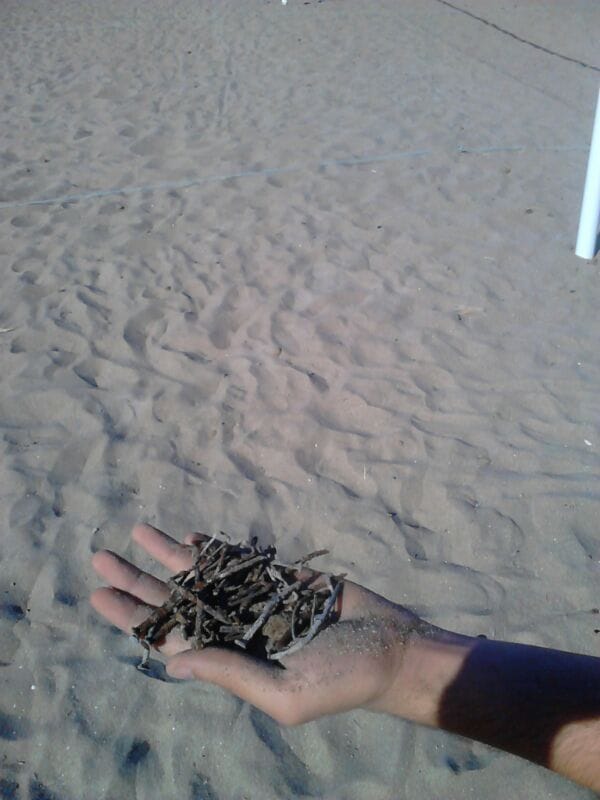 clavos en la playa Las Marinas