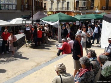 92 por ciento  de Ocupación Turística en Dénia