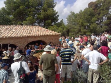 Escaldà de la Pansa 2014, visitantes