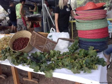 Escaldà de la Pansa Jesús Pobre 2014