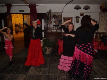 Flamenco Dénia 700x525