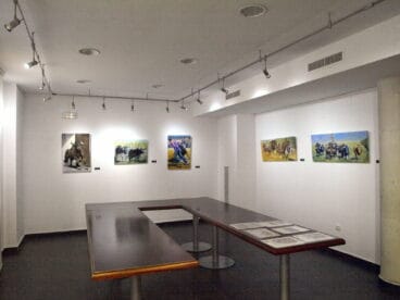 Foto de archivo miembro adama