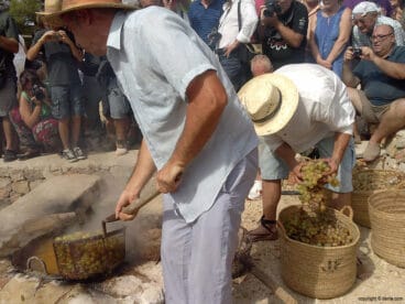 Proceso de escaldà de la pansa
