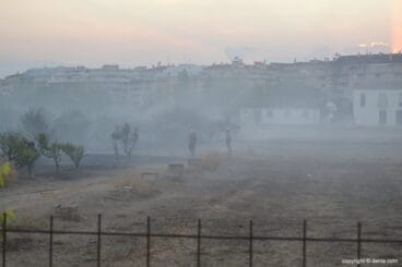 Zona arrasada por el fuego
