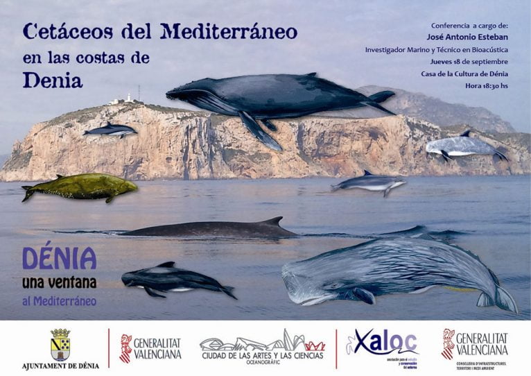 Conferencia sobre cetáceos en las cosatas de Dénia