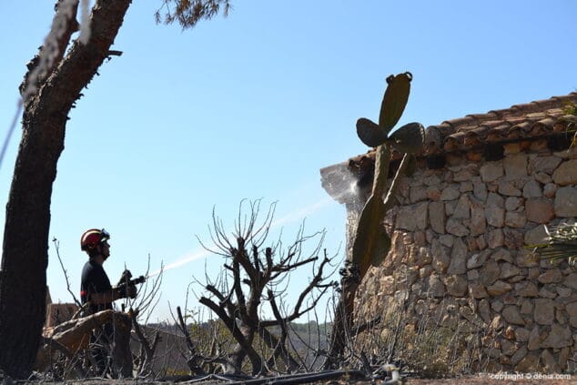 Incendio en el Montgó Lloma del Castanyar 03