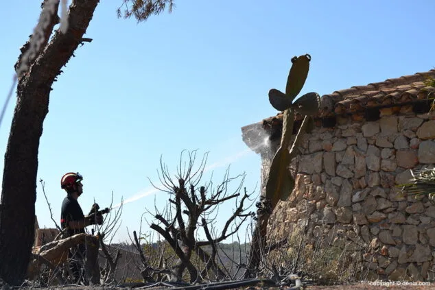 El fuego calcina 439 hectáreas del Parque Natural del Montgó 28 Incendio en el Montgó Lloma del Castanyar 03
