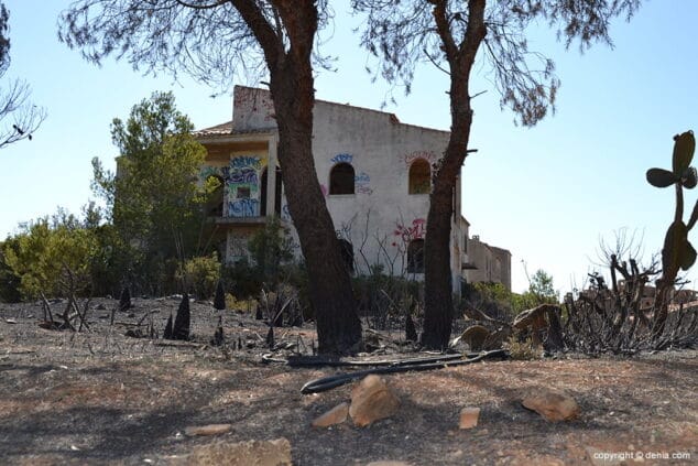 Incendio en el Montgó Lloma del Castanyar 05