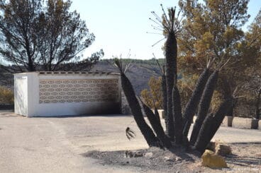 Incendio en el Montgó – Lloma del Castanyar