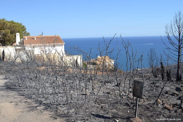 Incendio en el Montgó Lloma del Castanyar 11