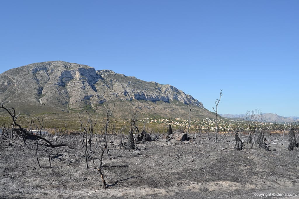 Incendio en el Montgó - Lloma del Castanyar