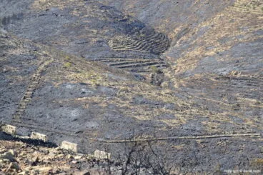 Incendio en el Montgó – Lloma del Castanyar
