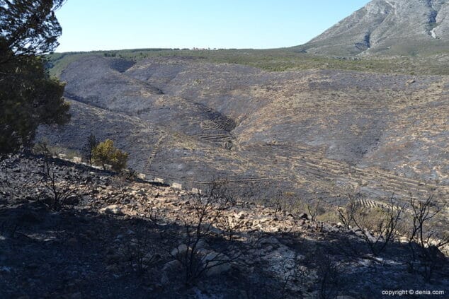 Incendio en el Montgó Lloma del Castanyar 15