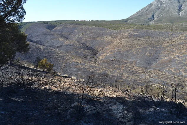 El fuego calcina 439 hectáreas del Parque Natural del Montgó 16 Incendio en el Montgó Lloma del Castanyar 15