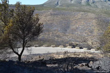 Incendio en el Montgó – Lloma del Castanyar