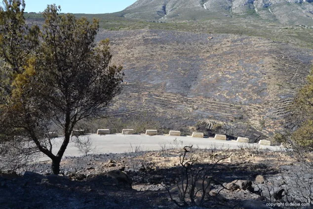 El fuego calcina 439 hectáreas del Parque Natural del Montgó 11 Incendio en el Montgó Lloma del Castanyar 20