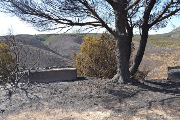 Incendio en el Montgó Lloma del Castanyar 21