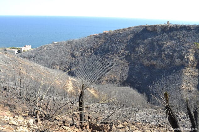 Incendio en el Montgó Lloma del Castanyar 23