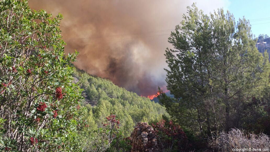 Incendio en el Parque Natural del Montgó