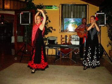 Alegría de mi tierra