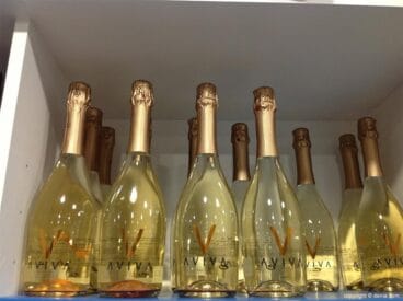 Degustación de cavas en Salat i CUrat